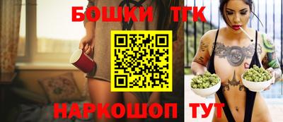 МДПВ Обь