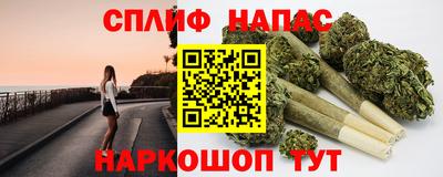 МДПВ Обь