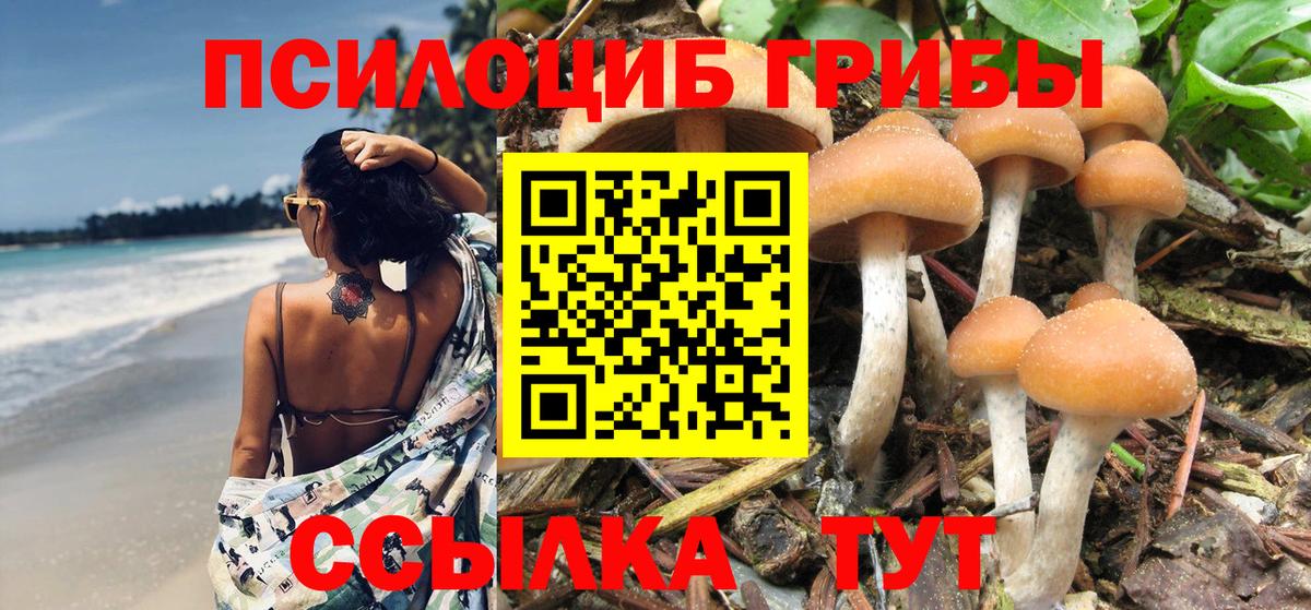 Псилоцибиновые грибы мухоморы Тавда
